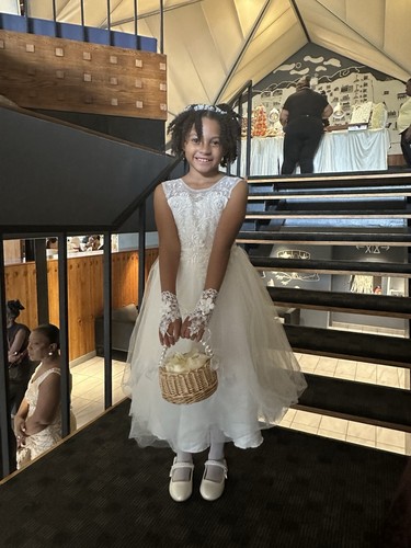 Flower girl dress - dress, size